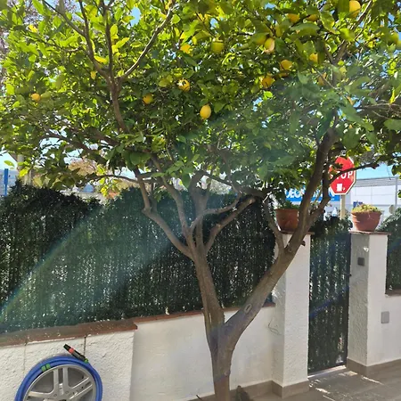 Kuqueta, *